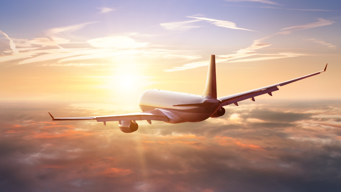 Cancel Your United Flight: Understand Its Cancellation Policy and Process 

Offering an exceptional ...